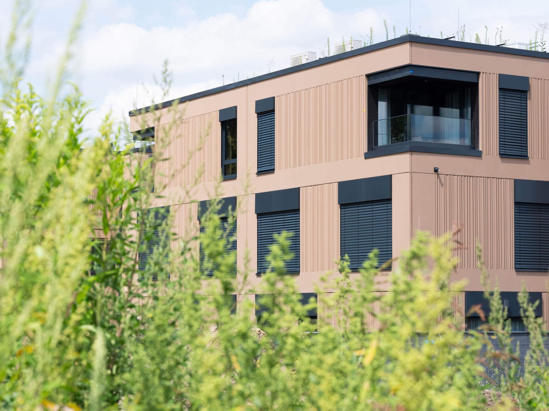 Wola Village - Hero banner